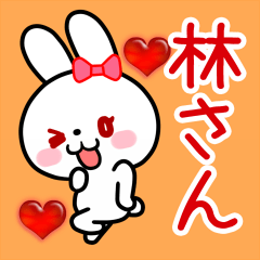 The white rabbit loves Hayashi-san