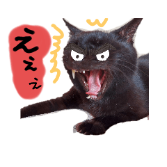 junko_20220311170817