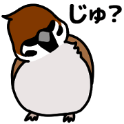 The rebellion of a tiny and cute sparrow