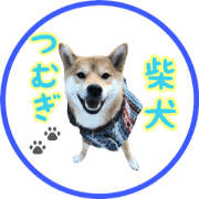 Shibainu Tsumugi 8