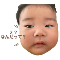 miki_20220311224933