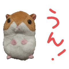 yuto_20220312071337