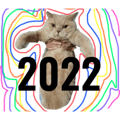 ayumi_20220312085233