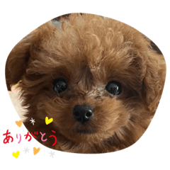 HANA_20220312083024