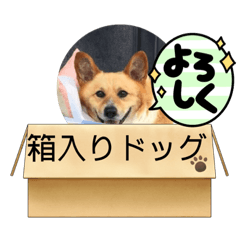 Shiho_20220312080623