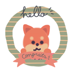 TARO SHIBA