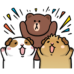 Guinea Pigs with line Friends