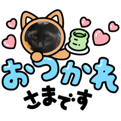 Yukina_20220312002729