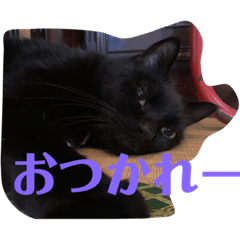 yuka_20220311233729