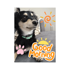 moo_20220312112515