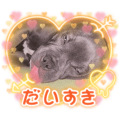 gottu_20220311211102