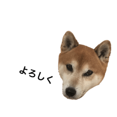 Matsu_20220312123856