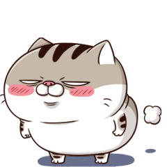 fat cat Ami 3(EN)