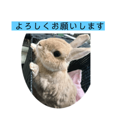 michiko_20220311152559