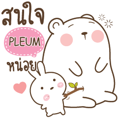 PLEUM Little Rabbit bully Bear e