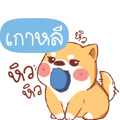 KAOLE Shiba naughty dog