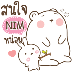 NIM Little Rabbit bully Bear e