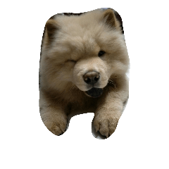 Vodka(chowchow)