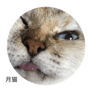 tukineko