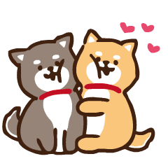 Cute koro shiba inu animation sticker