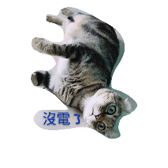 珊蒂妹妹的賣萌生活
