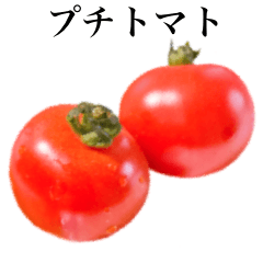 プチ トマト です　野菜　とまと