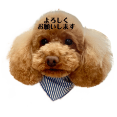 yukari_20220312162147