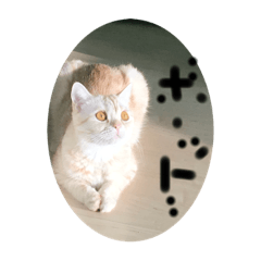 Yuina_20220312142656