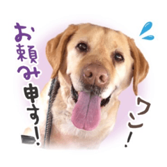 napi_20220312153019