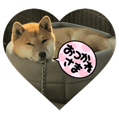 Matsu_20220312183416