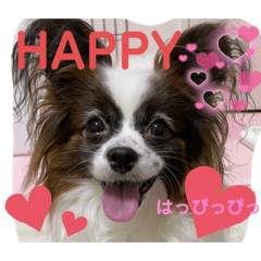 ringo_20220312200356