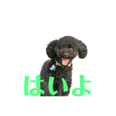 yukari_20220312222303