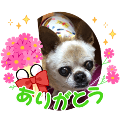 vivinba_20220312233328