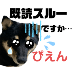 yun_20220313055337