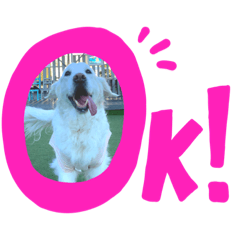 smile_20220313043236