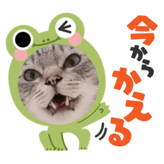 Cat Muku Sticker2