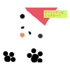 Orange_20220313080921