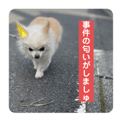 Chris_20220313113018