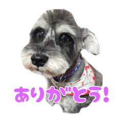 kuu_20220312182330