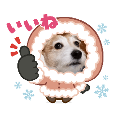 rei_20220312235327