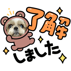 Risa_20220313115621