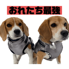 Rick and Ren's Adventure