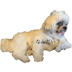 rina_20220312185734
