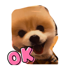 Sayuri_20220313120218