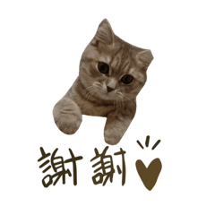 螺絲小寶貝