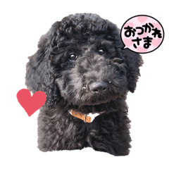 CHiE_20220312202814