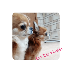 shiho_20220312222846