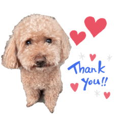 nikotaro_20220312221110