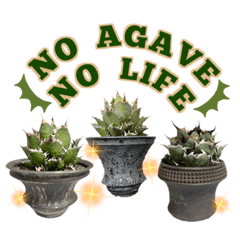 Stickers for AGAVE LOVERS 2nd edition
