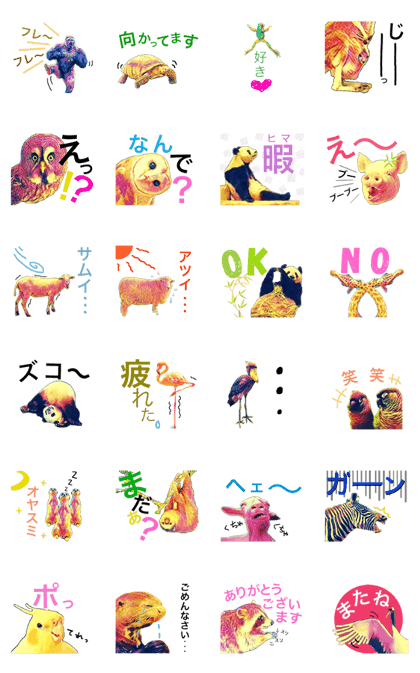 Funny  creatures